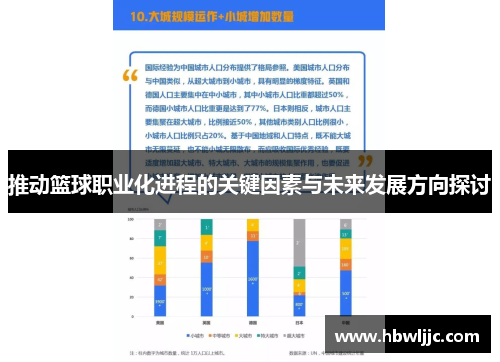 推动篮球职业化进程的关键因素与未来发展方向探讨