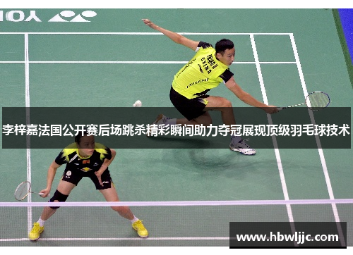 李梓嘉法国公开赛后场跳杀精彩瞬间助力夺冠展现顶级羽毛球技术